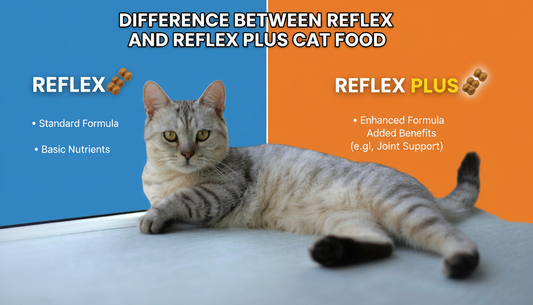 Difference between reflex and reflex plus