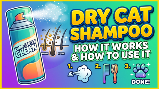 Dry Cat Shampoo: How It Works and How to Use It