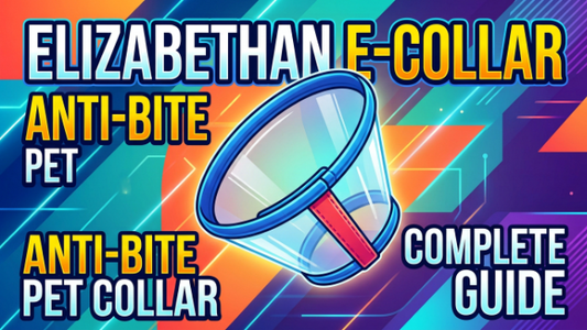 Elizabethan E-Collar Anti-Bite Pet Collar Complete Guide