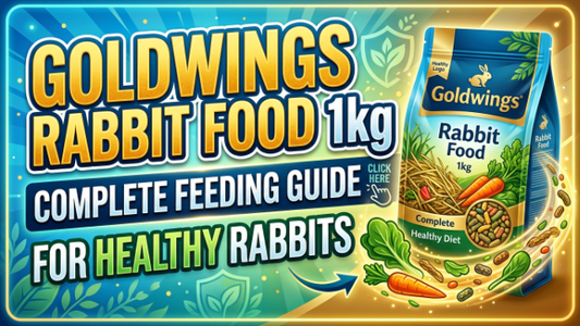 Goldwings Rabbit Food 1kg – Complete Feeding Guide for Healthy Rabbits