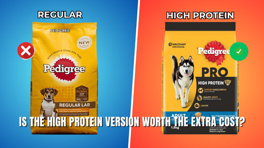 Pedigree PRO: Is the "High Protein" Version Worth the Extra Cost?