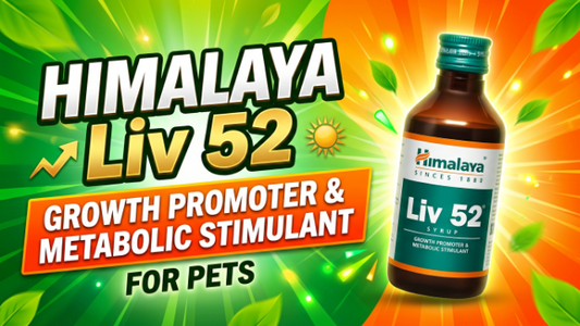 Himalaya Liv 52 – Growth Promoter & Metabolic Stimulant for Pets