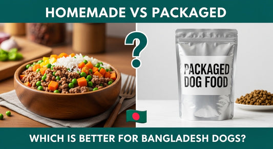 Homemade vs Packaged Dog Food Which is Better for Bangladesh Dogs 2026