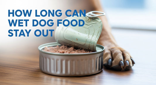 How long can wet dog food stay out