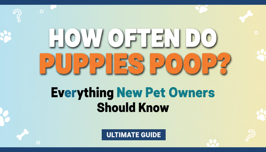 How Often Do Puppies Poop Everything New Pet Owners Should Know