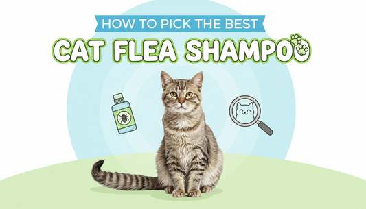 How To Pick The Best cat flea shampoo