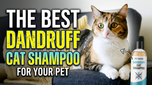 How to Choose the Best Dandruff Cat Shampoo for Your Pet?