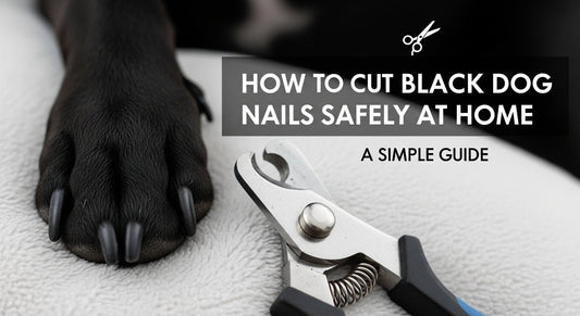 How to Cut Black Dog Nails Safely at Home A Simple Guide