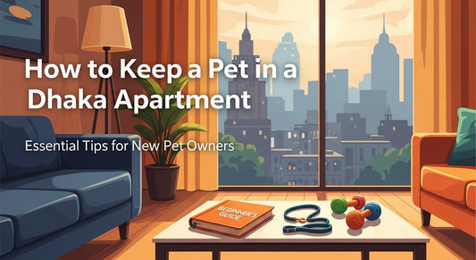 How to Keep a Pet in a Dhaka Apartment – Beginner's Guide for New Pet Owners 2026
