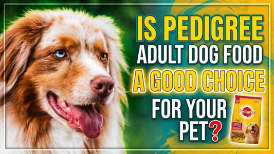 Is Pedigree Adult Dog Food a Good Choice for Your Pet?