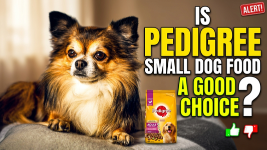 Is Pedigree Small Dog Food a Good Choice for Your Pet