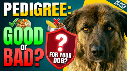 is pedigree good dog food?