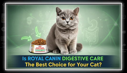 Is Royal Canin Digestive Care the Best Choice for Your Cat