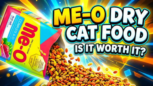 Me-O Dry Cat Food in Bangladesh: Price, Flavors & Where to Buy in 2026