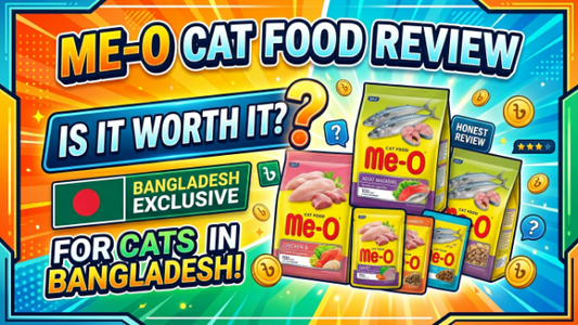 Me-O Cat Food Review: Is It Worth It for Cats in Bangladesh? (2026)