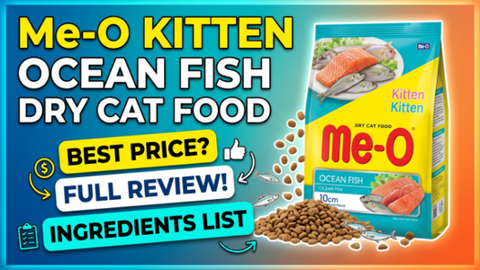 Me-O Kitten Dry Cat Food Ocean Fish 2026: Price, Review & Ingredients