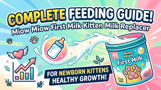 Miow Miow First Milk Kitten Milk Replacer 150gm: Complete Feeding Guide for 2026