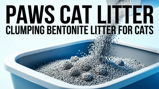 Paws Cat Litter: Clumping Bentonite Litter for Cats in Bangladesh