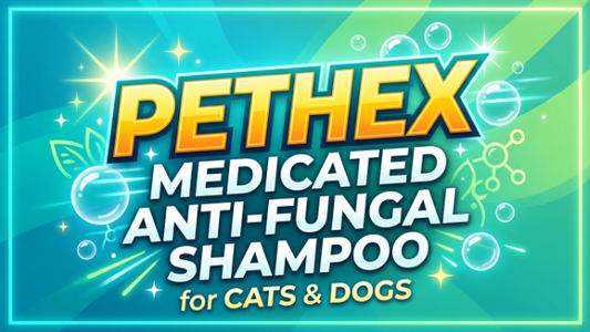 PetHex Medicated Anti-Fungal Shampoo for Cats & Dogs 2026