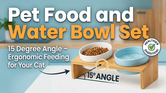 Pet Food and Water Bowl Set 15 Degree Angle - Ergonomic Cat Bowl