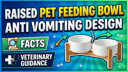 Raised Pet Feeding Bowl Anti Vomiting Design Veterinary Guidance