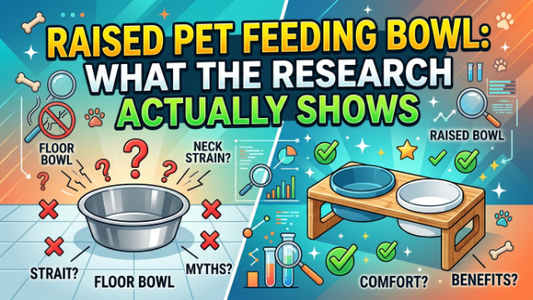 Raised Pet Feeding Bowl: What the Research Actually Shows
