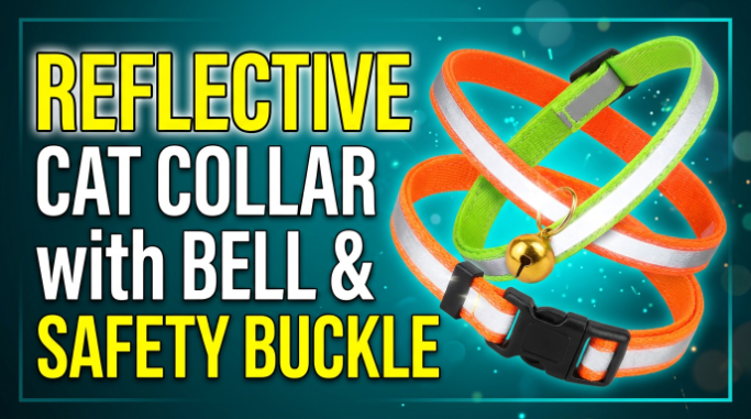 Reflective Cat Collar with Bell & Safety Buckle Guide  2026