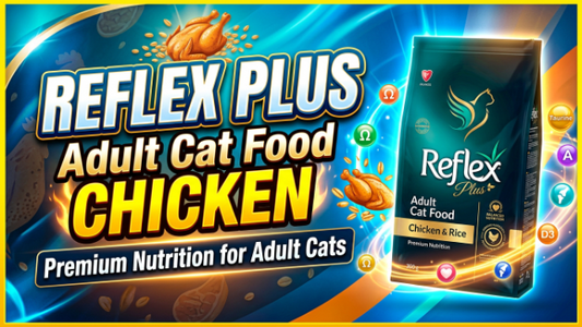 Reflex Plus Adult Cat Food Chicken – Premium Nutrition
