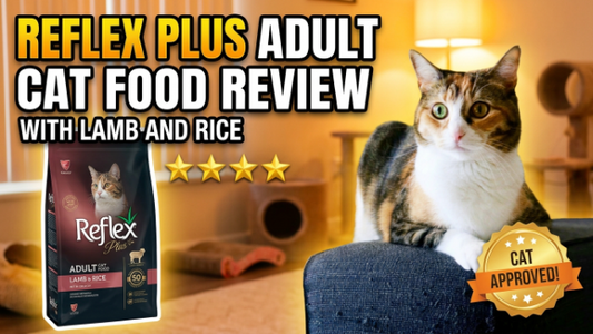 Reflex Plus Adult Cat Food with Lamb and Rice Review