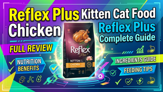 Reflex Plus Kitten Cat Food Chicken Complete Guide