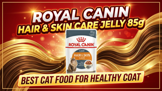 Royal Canin Hair &  Skin Care Jelly 85g 2026: Best Cat Food for Healthy Coat