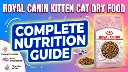 Royal Canin Kitten Cat Dry Food Complete Nutrition Guide