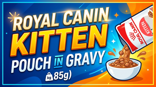Royal Canin Kitten Pouch in Gravy (85g) – Complete Guide for Growing Kittens
