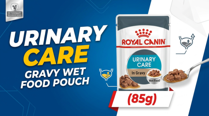 Royal Canin Urinary Care Gravy Wet Food Pouch (85g): 2026 Vet Guide