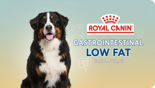 Royal canin gastrointestinal low fat  in Bangladesh