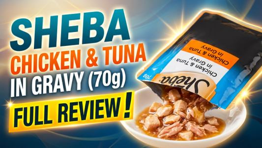 Sheba Chicken & Tuna in Gravy (70g): Full Review for 2026