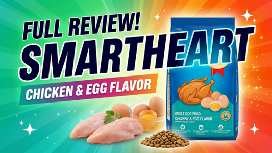 SmartHeart Adult Dog Food Chicken &  Egg Review 2026