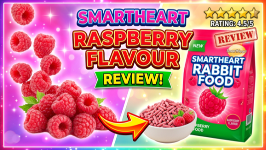 SmartHeart Rabbit Food Raspberry Flavour Review 2026