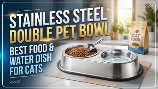 Stainless Steel Double Pet Bowl 2026: Best Food & Water Dish for Cats