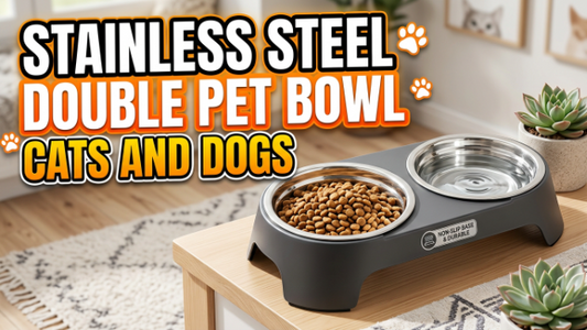 Stainless Steel Double Pet Bowl for Cats & Dogs 2026
