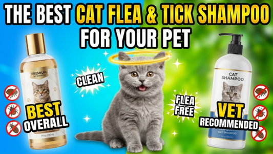 The Best Cat Flea and Tick Shampoo for Your Pet