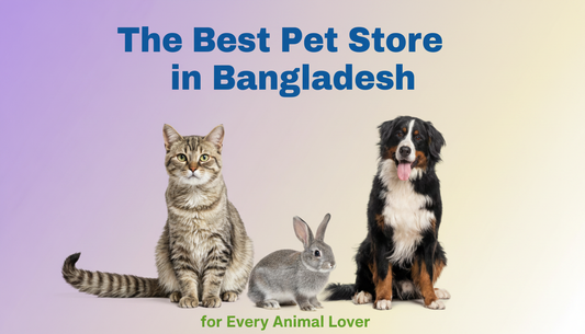 The Best Pet Store in Bangladesh for Every Animal Lover