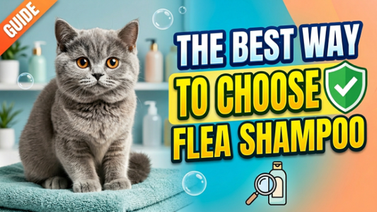 The Best Way to Choose Cat Safe Flea Shampoo