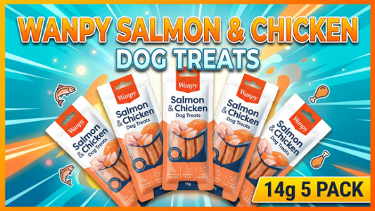 Wanpy Salmon & Chicken Dog Treats 14g 5 Pack 2026
