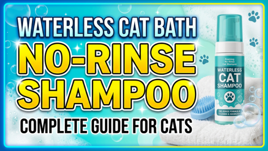 Waterless Cat Bath No-Rinse Shampoo Complete Guide for Cats
