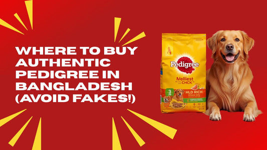 Where to Buy Authentic Pedigree in Bangladesh (Avoid Fakes)