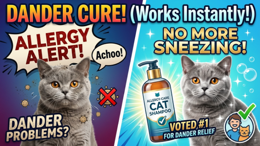 Why Cat Dander Shampoo is the Best Way to Stop Sneezing