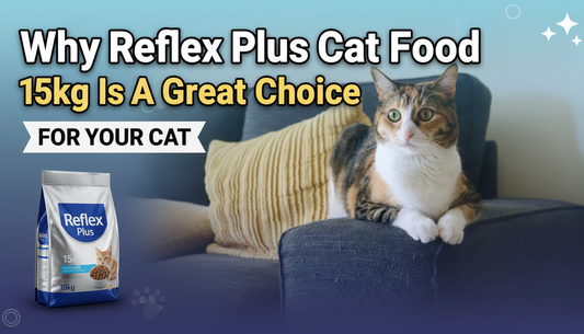 Why Reflex Plus Cat Food 15kg Is A Great Choice For Your Cat
