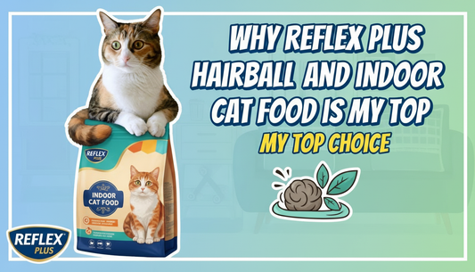 Why Reflex plus hairball and indoor Cat Food Is My Top Choice?