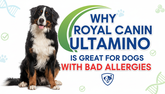 Why royal canin ultamino  Is Great For Dogs With Bad Allergies?